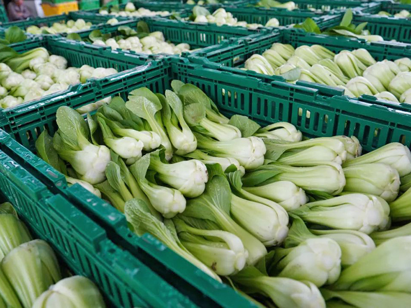 塑料周轉筐應（yīng）用於超市菜（cài）